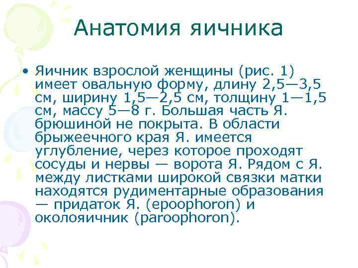 Анатомия яичника • Яичник взрослой женщины (рис. 1) имеет овальную форму, длину 2, 5—