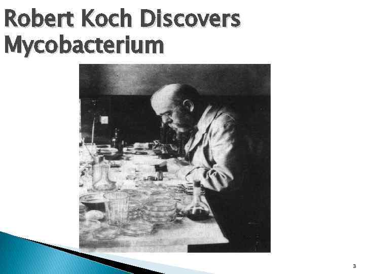 Robert Koch Discovers Mycobacterium 3 