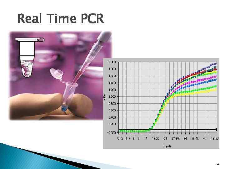 Real Time PCR 34 