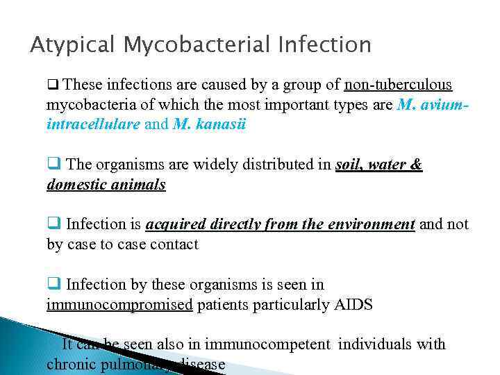 Atypical Mycobacterial Infection q These infections are caused by a group of non-tuberculous mycobacteria