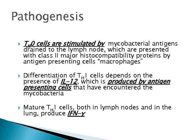 Pathogenesis TH 0 cells are stimulated by mycobacterial antigens drained to the lymph node,