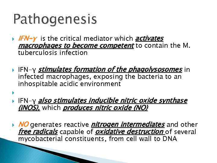 Pathogenesis IFN-γ is the critical mediator which activates macrophages to become competent to contain