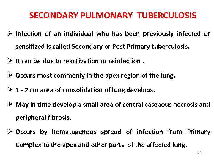 SECONDARY PULMONARY TUBERCULOSIS Ø Infection of an individual who has been previously infected or