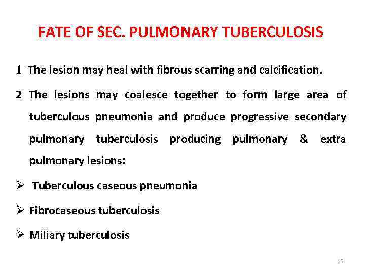 FATE OF SEC. PULMONARY TUBERCULOSIS 1 The lesion may heal with fibrous scarring and