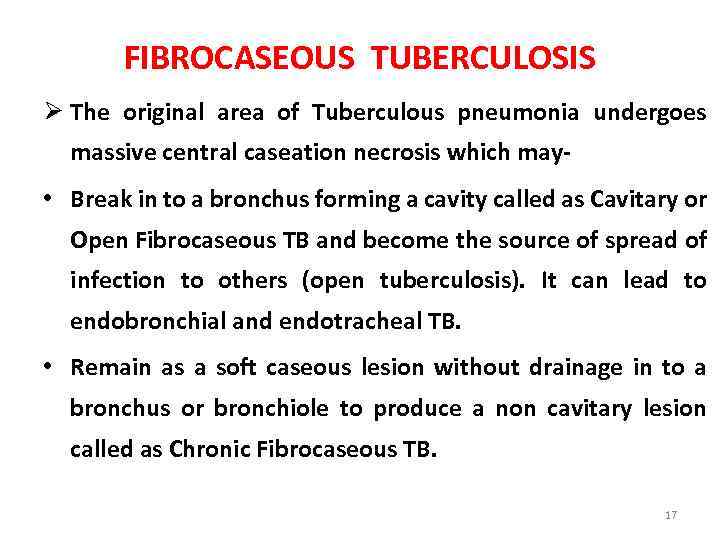 FIBROCASEOUS TUBERCULOSIS Ø The original area of Tuberculous pneumonia undergoes massive central caseation necrosis