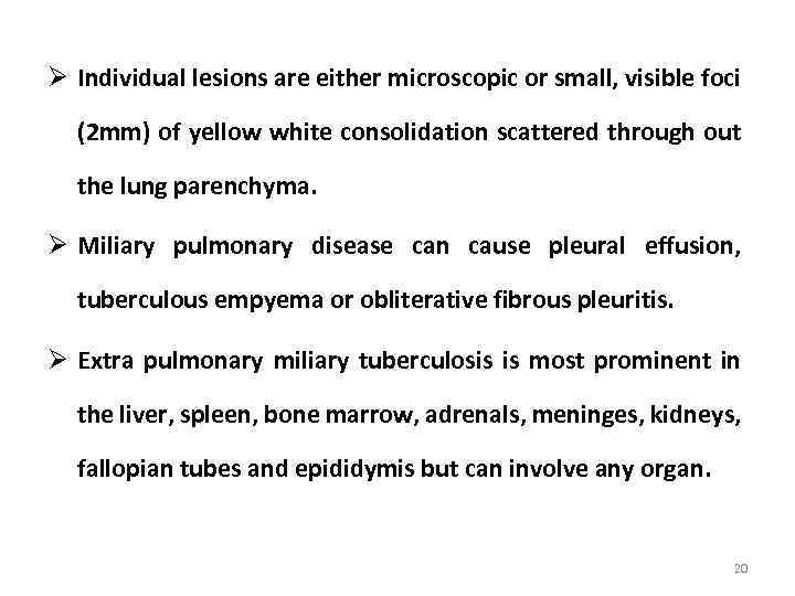 Ø Individual lesions are either microscopic or small, visible foci (2 mm) of yellow
