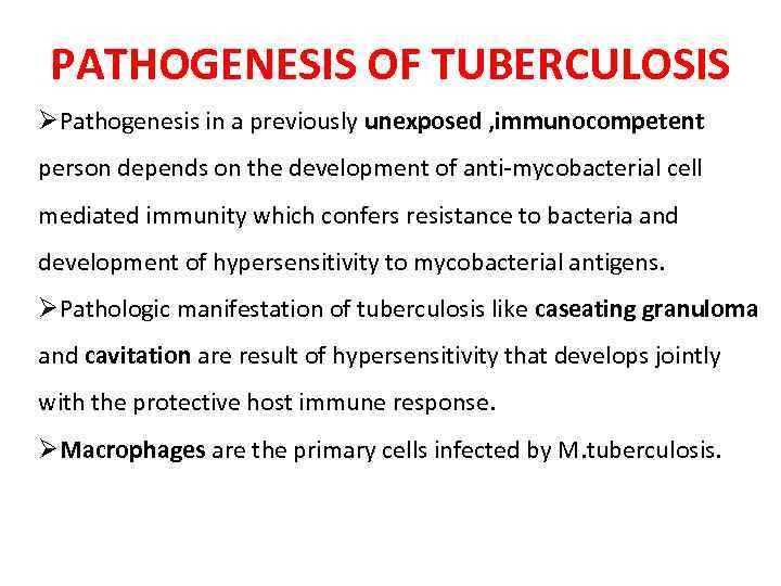 PATHOGENESIS OF TUBERCULOSIS ØPathogenesis in a previously unexposed , immunocompetent person depends on the
