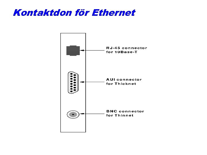 Kontaktdon för Ethernet 