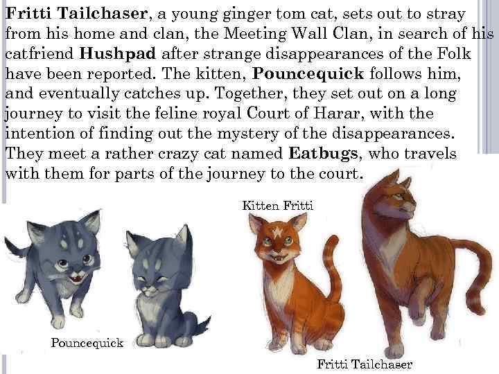 Fritti Tailchaser, a young ginger tom cat, sets out to stray from his home