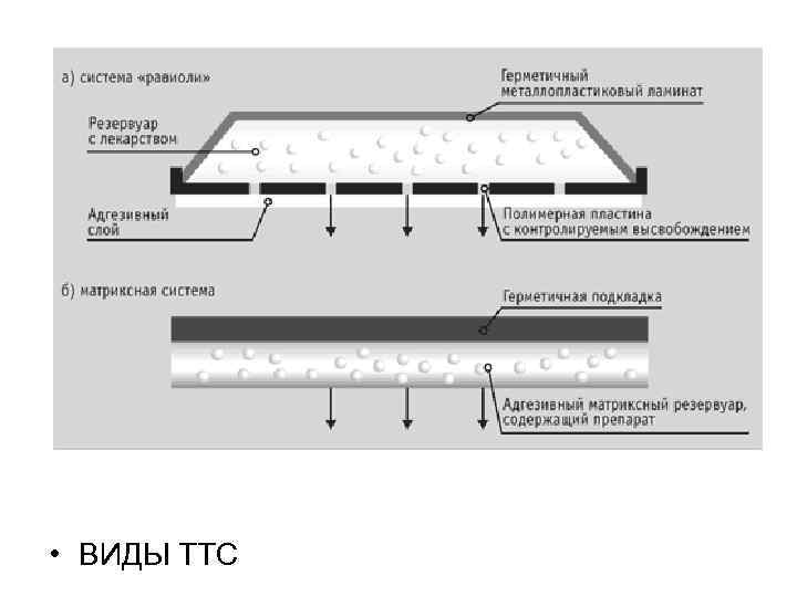  • ВИДЫ ТТС 