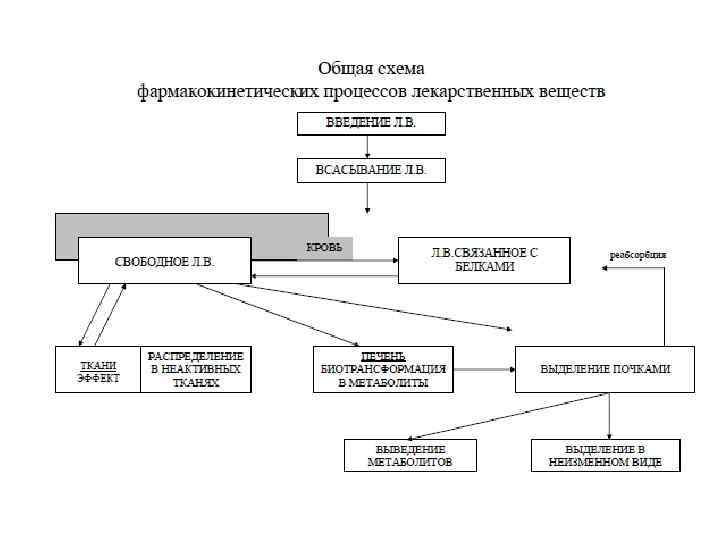 Схемы рисунки особенности введения лекарственных веществ