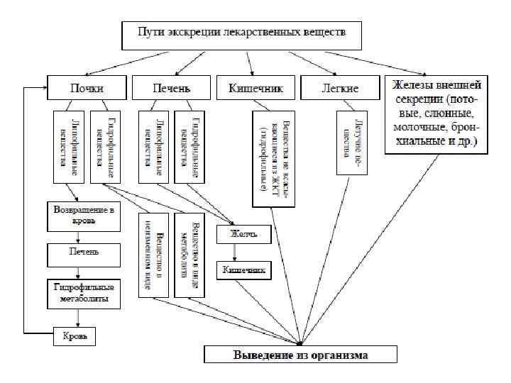 Пути изыскания новых лекарственных средств схема