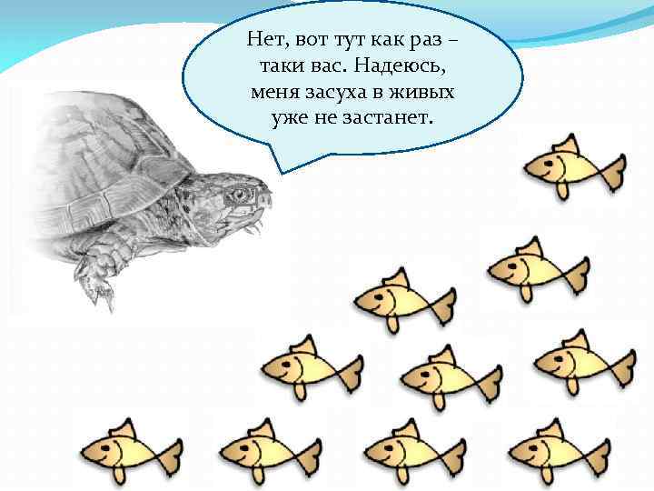 Нет, вот тут как раз – таки вас. Надеюсь, меня засуха в живых уже