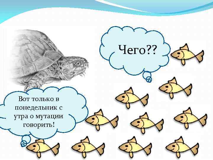 Чего? ? Вот только в понедельник с утра о мутации говорить! 