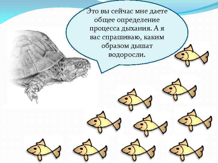 Это вы сейчас мне даете общее определение процесса дыхания. А я вас спрашиваю, каким