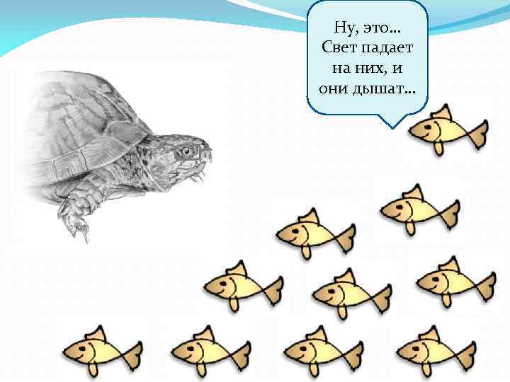 Ну, это… Свет падает на них, и они дышат… 