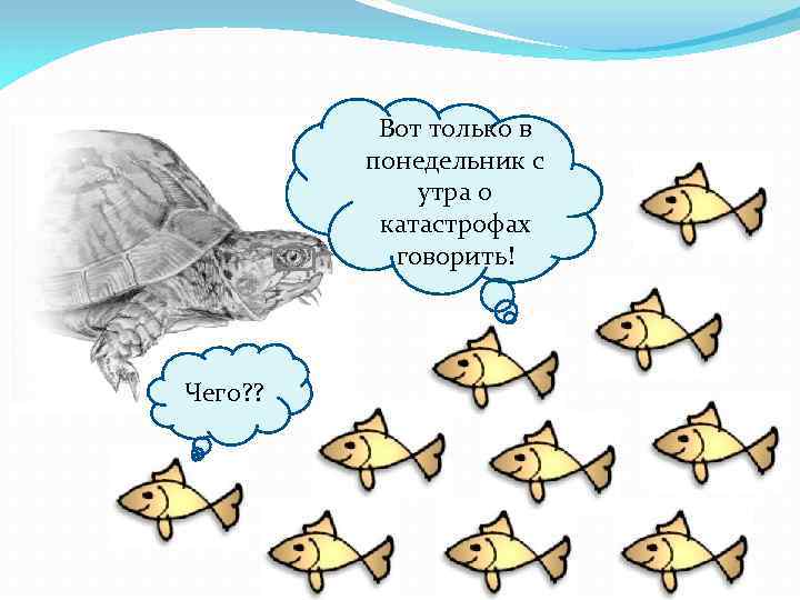 Вот только в понедельник с утра о катастрофах говорить! Чего? ? 