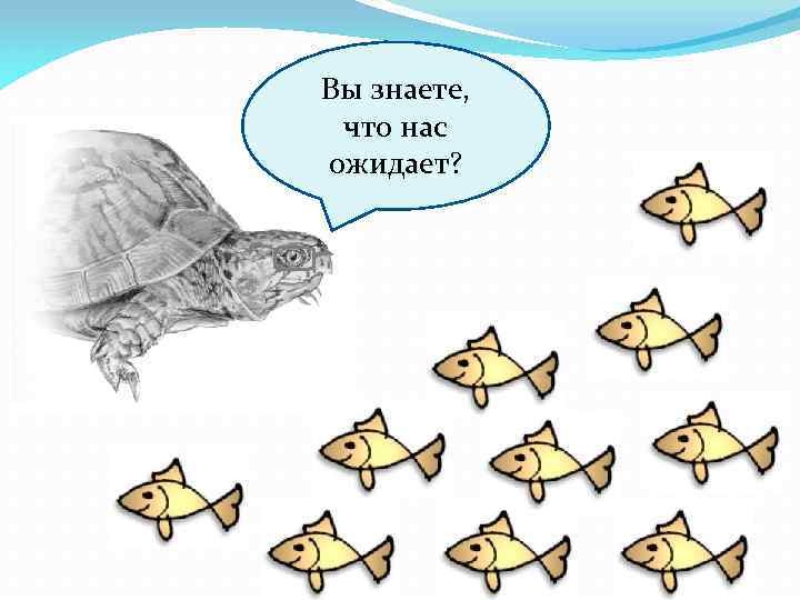 Вы знаете, что нас ожидает? 