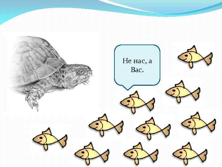 Не нас, а Вас. 