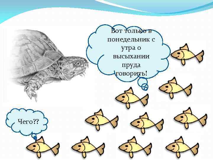 Вот только в понедельник с утра о высыхании пруда говорить! Чего? ? 