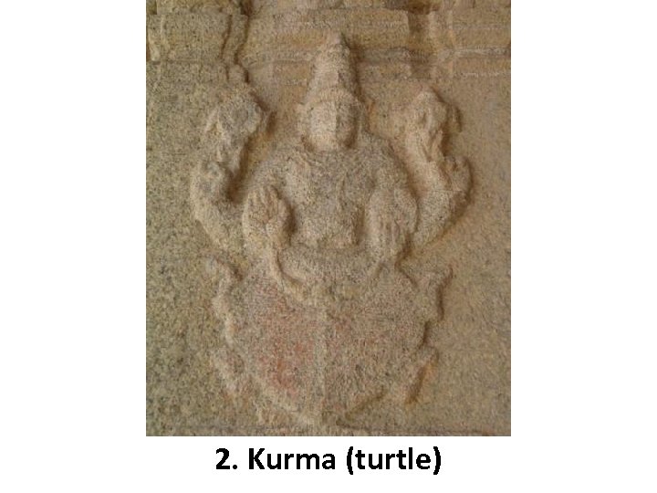 2. Kurma (turtle) 