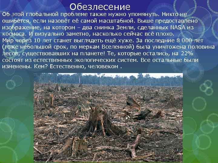 Обезлесение Об этой глобальной проблеме также нужно упомянуть. Никто не ошибётся, если назовёт её