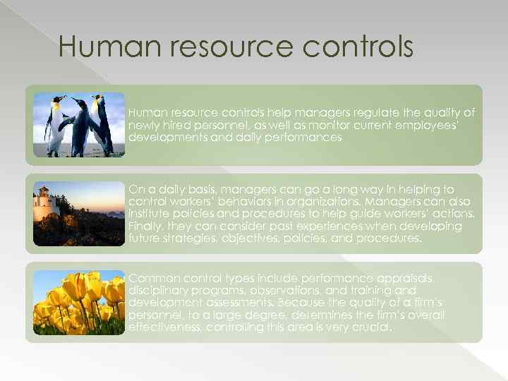 Human resource controls help managers regulate the quality of newly hired personnel, as well