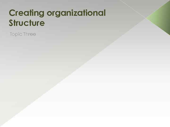 Creating organizational Structure Topic Three 