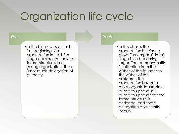 Organization life cycle Birth Youth • In the birth state, a firm is just