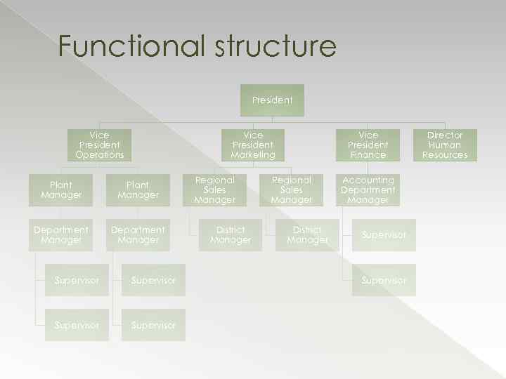 Functional structure President Vice President Operations Vice President Marketing Plant Manager Department Manager Supervisor