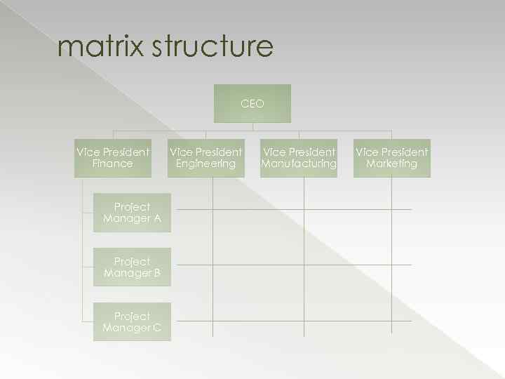 matrix structure CEO Vice President Finance Project Manager A Project Manager B Project Manager