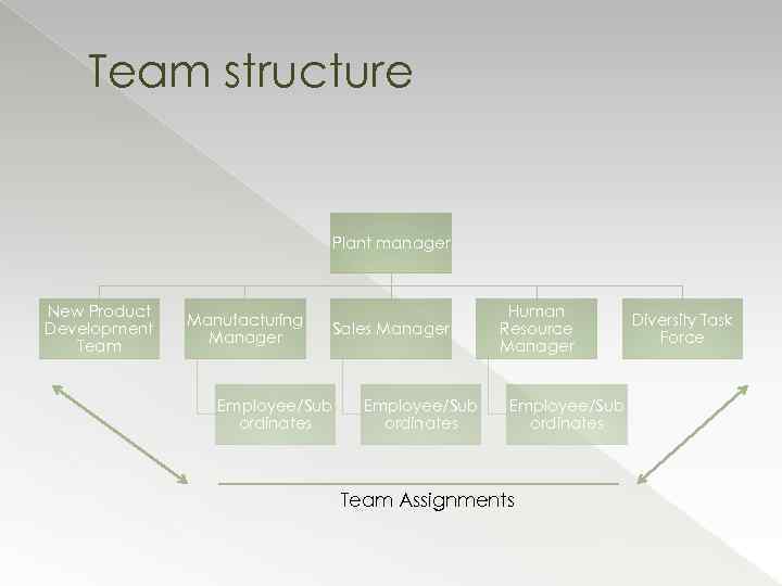Team structure Plant manager New Product Development Team Manufacturing Manager Sales Manager Employee/Sub ordinates