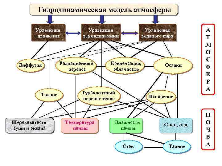 Гидродинамическая модель атмосферы Уравнения движения Диффузия Трение Шероховатость суши и океана Уравнения термодинамики Радиационный
