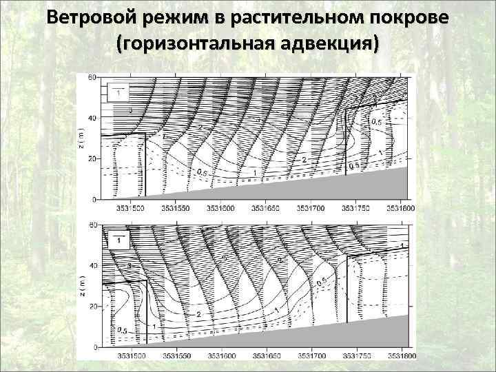 Микроклимат леса