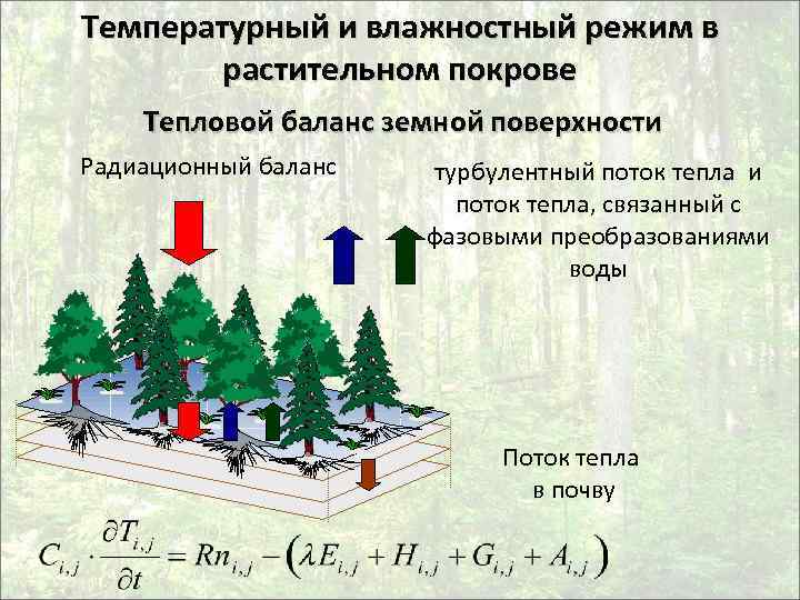 Микроклимат местности