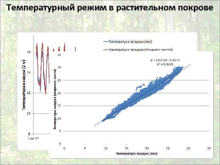 Температурный режим в растительном покрове 