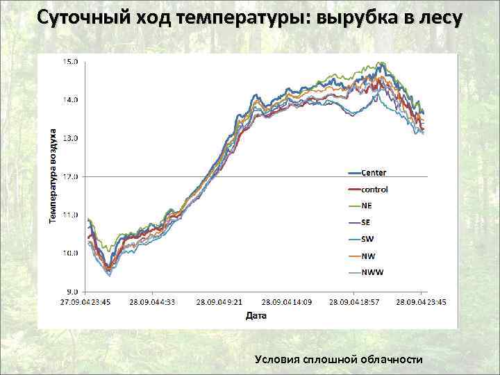 Суточный ход температуры: вырубка в лесу Условия сплошной облачности 
