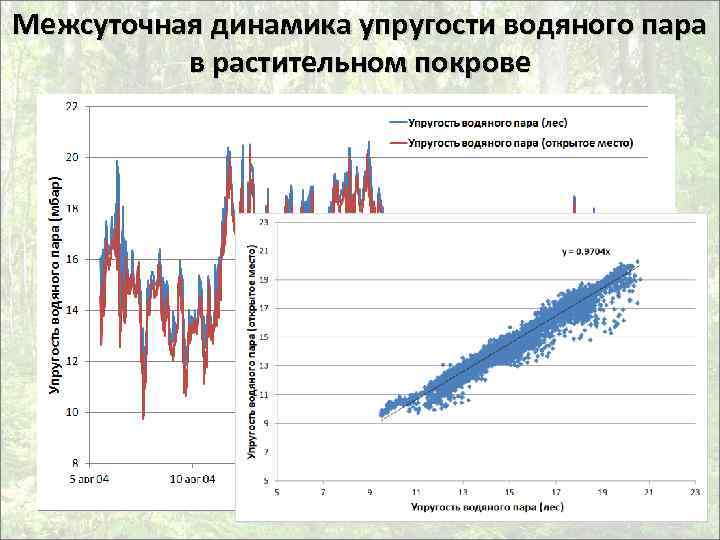 Межсуточная динамика упругости водяного пара в растительном покрове 