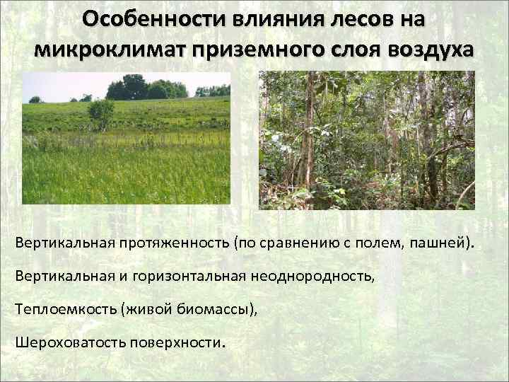 Особенности влияния лесов на микроклимат приземного слоя воздуха Вертикальная протяженность (по сравнению с полем,