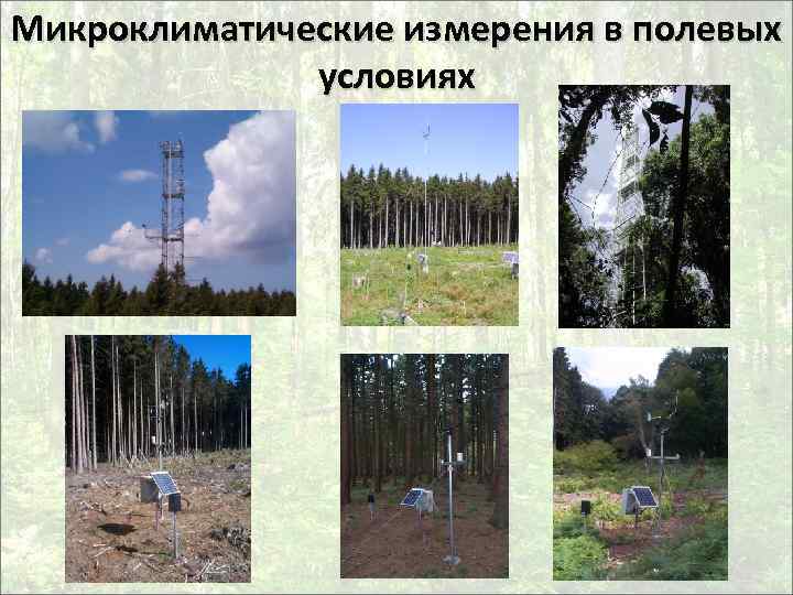 Микроклиматические измерения в полевых условиях 