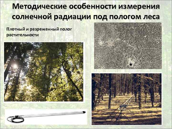 Методические особенности измерения солнечной радиации под пологом леса Плотный и разреженный полог растительности 