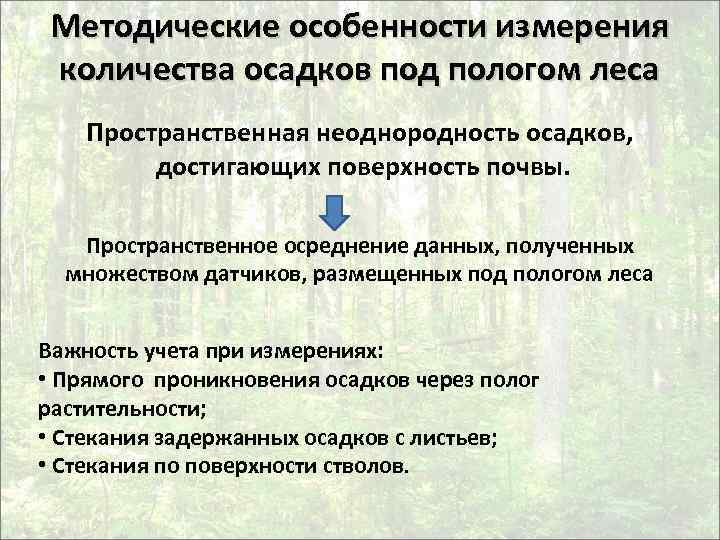 Методические особенности измерения количества осадков под пологом леса Пространственная неоднородность осадков, достигающих поверхность почвы.