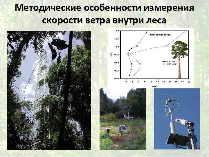 Методические особенности измерения скорости ветра внутри леса 