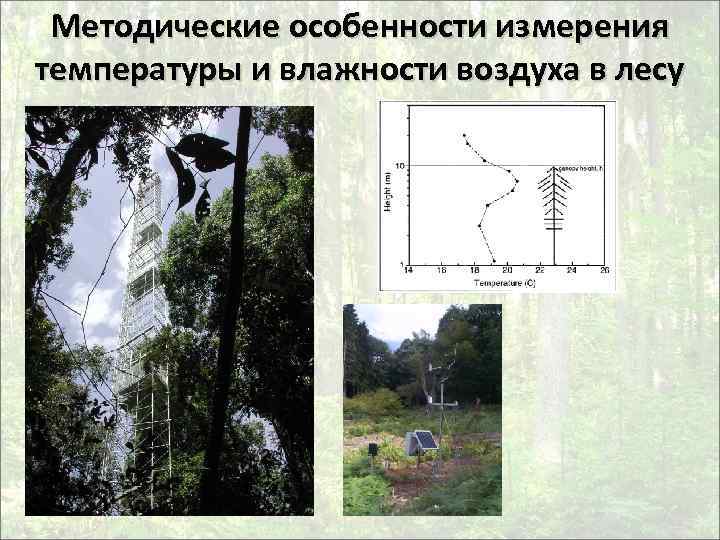 Методические особенности измерения температуры и влажности воздуха в лесу 