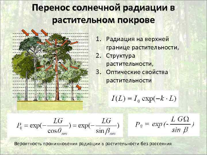 Перенос солнечной радиации в растительном покрове 1. Радиация на верхней границе растительности, 2. Структура