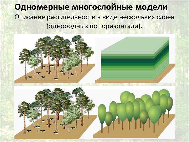 Одномерные многослойные модели Описание растительности в виде нескольких слоев (однородных по горизонтали). 