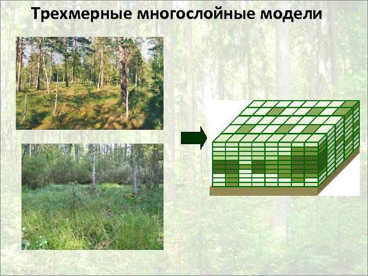Трехмерные многослойные модели 