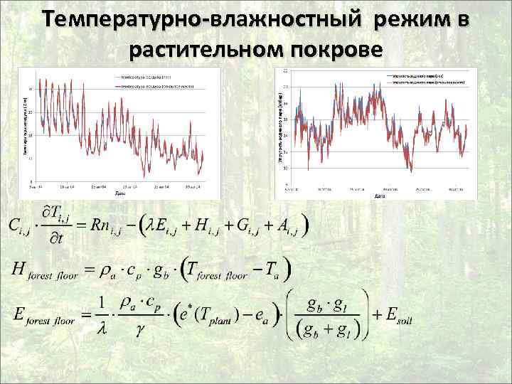 Температурно-влажностный режим в растительном покрове 