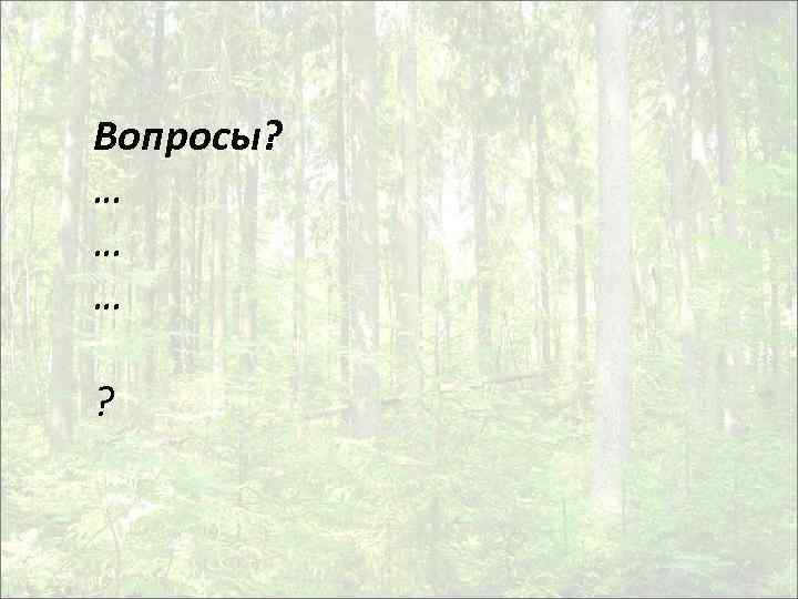 Вопросы? … … … ? 