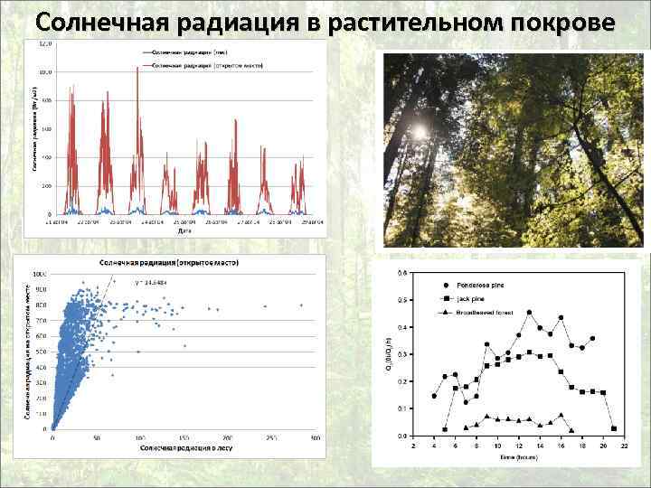 Количество солнечной радиации восточно европейской. Методы измерения солнечной радиации. Микроклимат леса. Микроклимат в лесу. Микроклимат леса характеризуется.